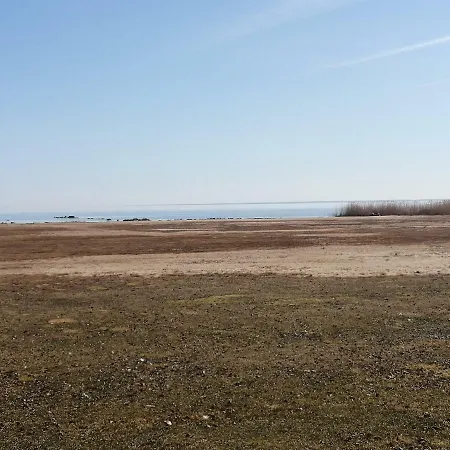 Raehni Peipsi Vilusi