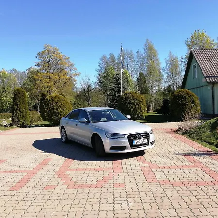 Raehni Peipsi * Vilusi