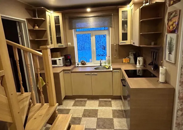 Raehni Peipsi Nyaraló *