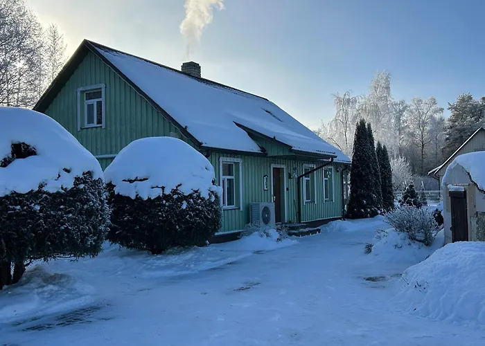 Raehni Peipsi Nyaraló *