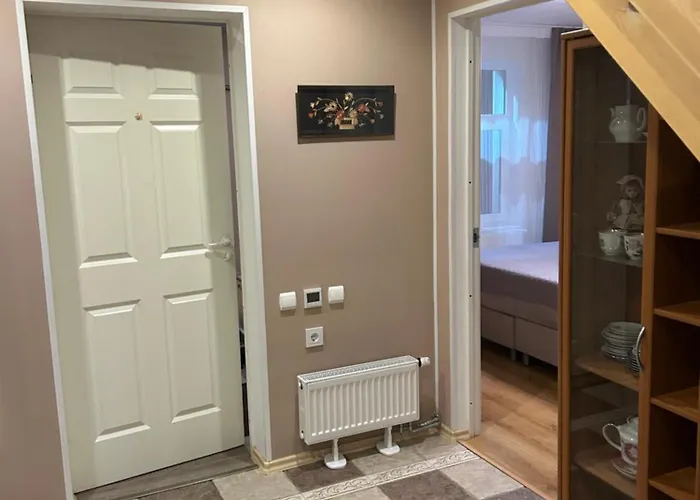 Raehni Peipsi Vilusi