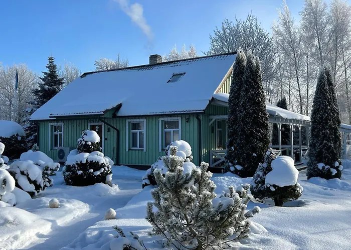 Raehni Peipsi Nyaraló Vilusi