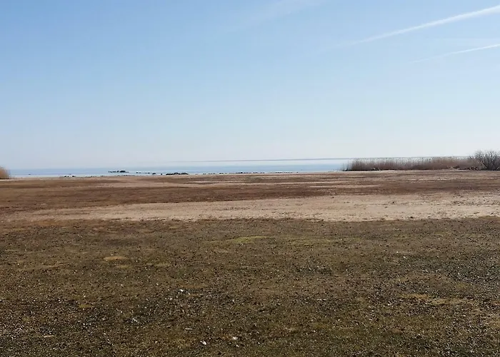 Raehni Peipsi Vilusi